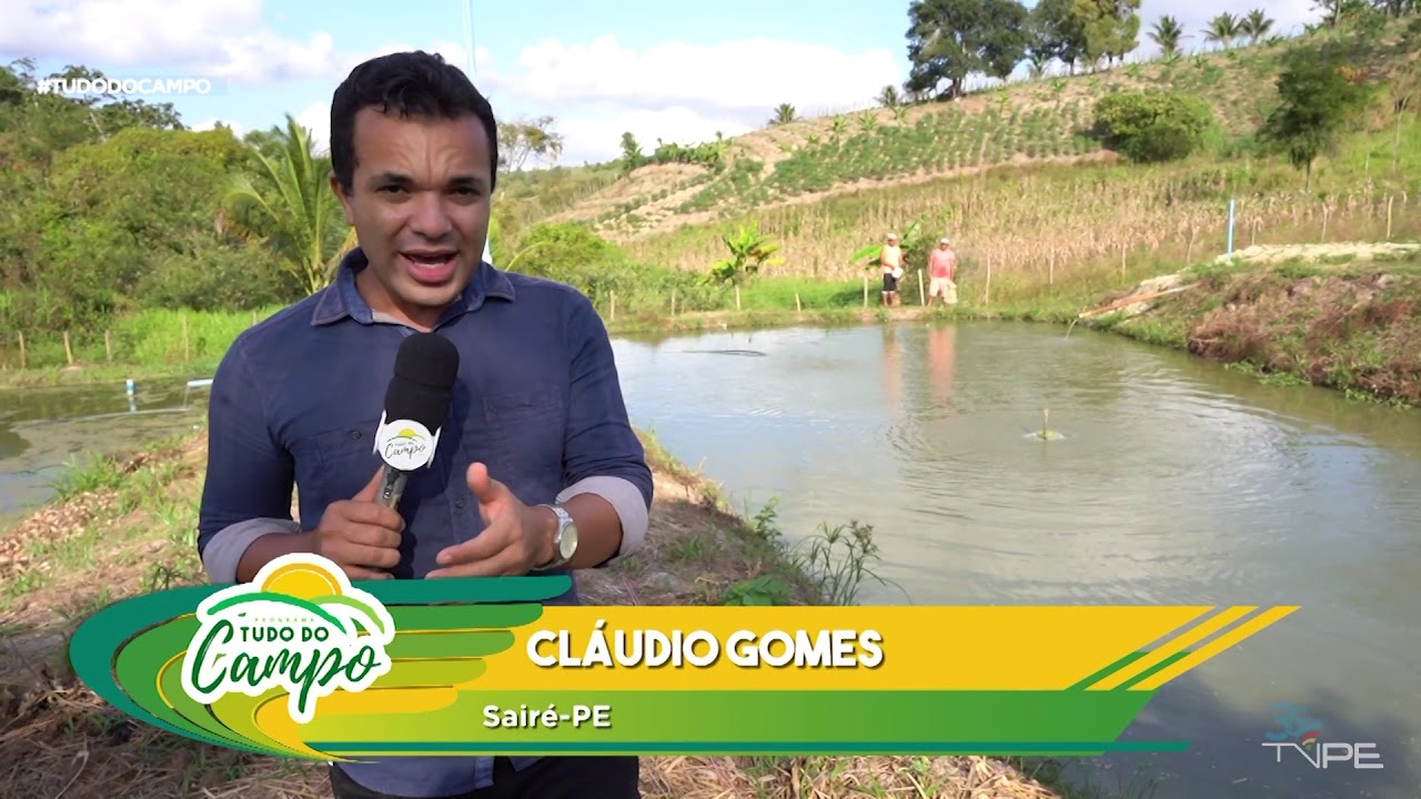 AGRESTE SE DESTACA NA CRIAÇÃO DE TILÁPIA