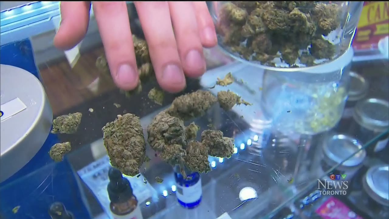 Marijuana shop increase 'out of control' Toronto mayor says