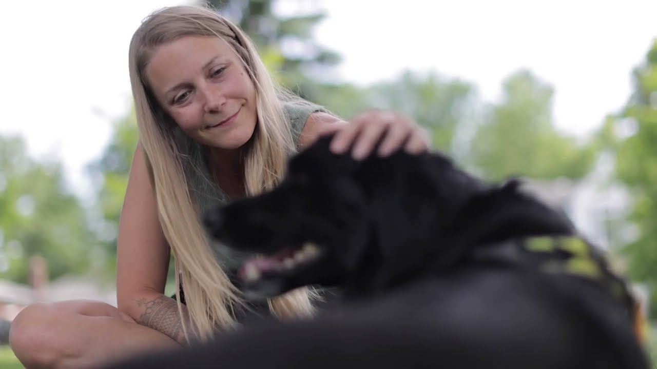 K9 Turbo Training: Our Story
