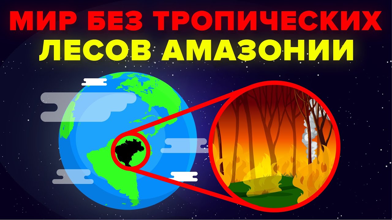 Мир без тропических лесов Амазонии