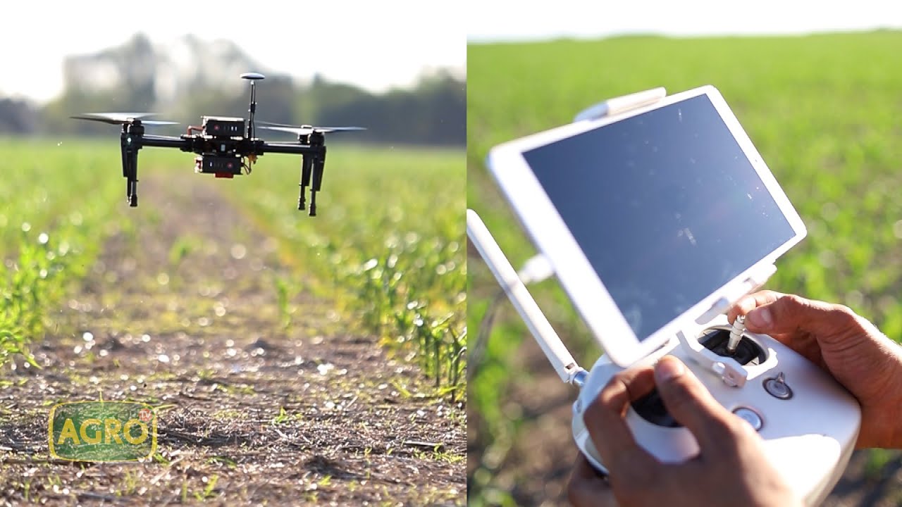 Inteligencia Artificial, Drones y gestión de datos para potenciar el maíz (#943 2021-08-28)