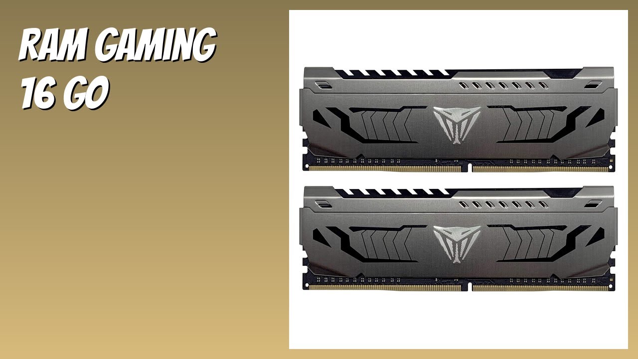 AVIS (2026) : RAM Gaming 16 Go. DÉTAILS
