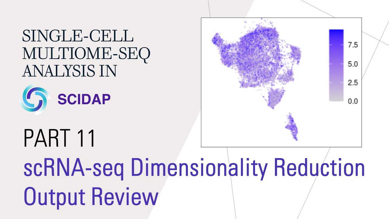 Single-cell Multiome (RNA+ATAC) Analysis 11: RNA Dimensionality Reduction Output Review