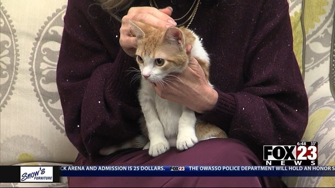 Adopt a Survivor: Meet Brynn