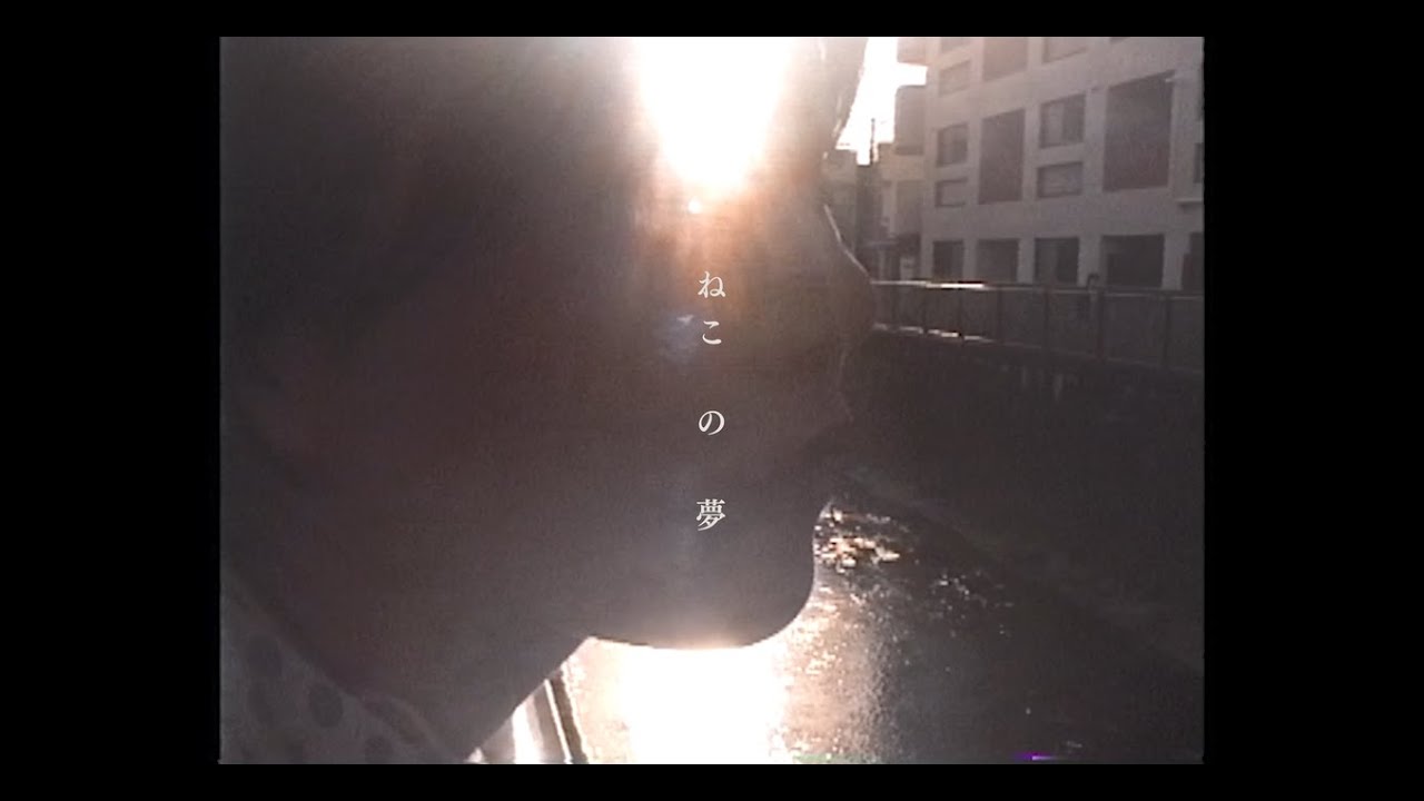 Megu(Negicco)「ねこの夢」作詞・作曲・編曲　さとうもか