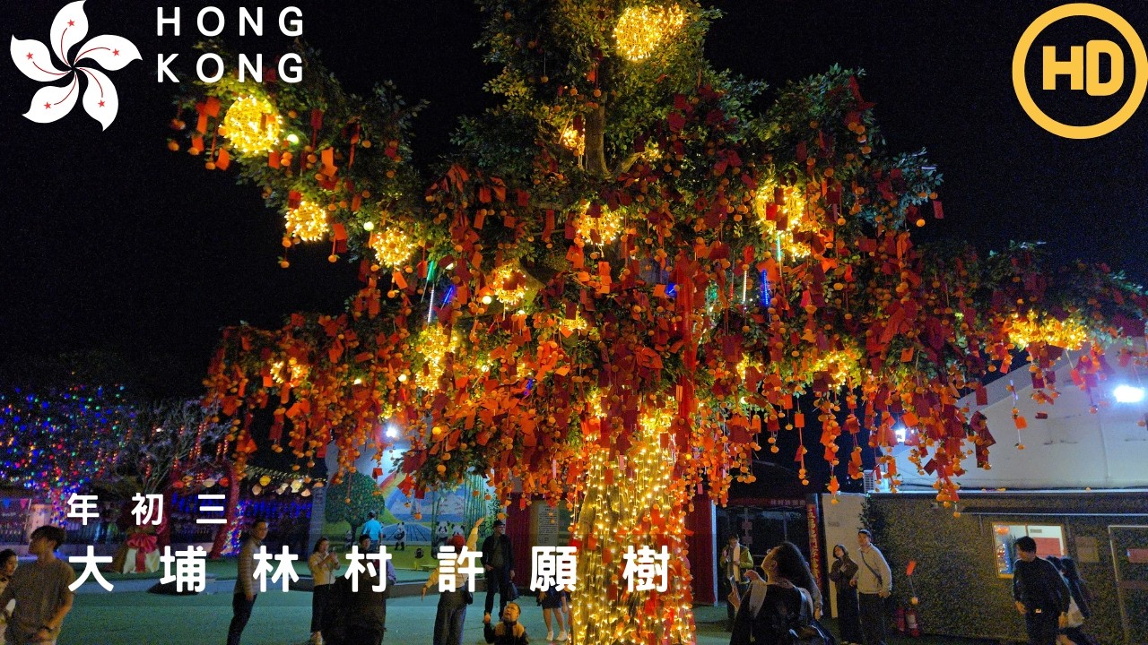 年初三 | 香港大埔林村許願樹 Lam Tsuen Tai Po Hong Kong | February 19, 2026