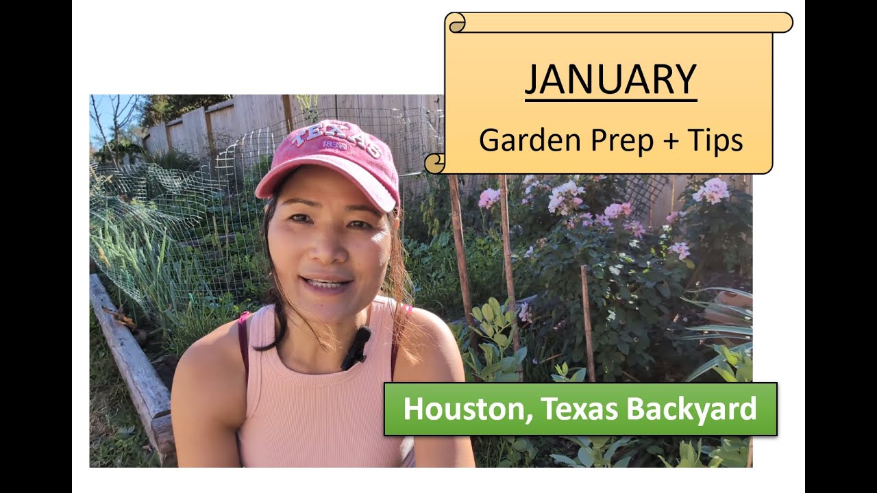 5 Things to Do in January to Prepare Your Spring Garden | Houston Texas Gardening