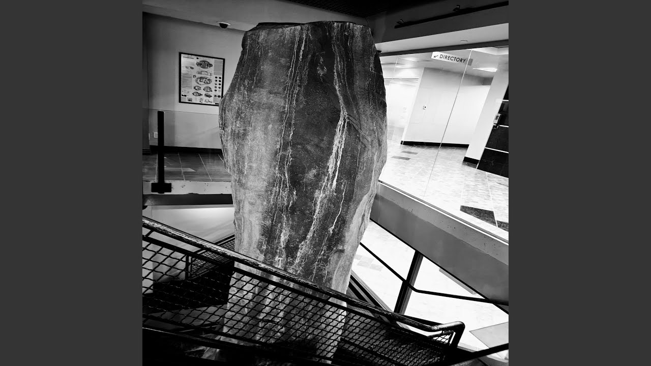 The Rejected Stone Mia-tunes