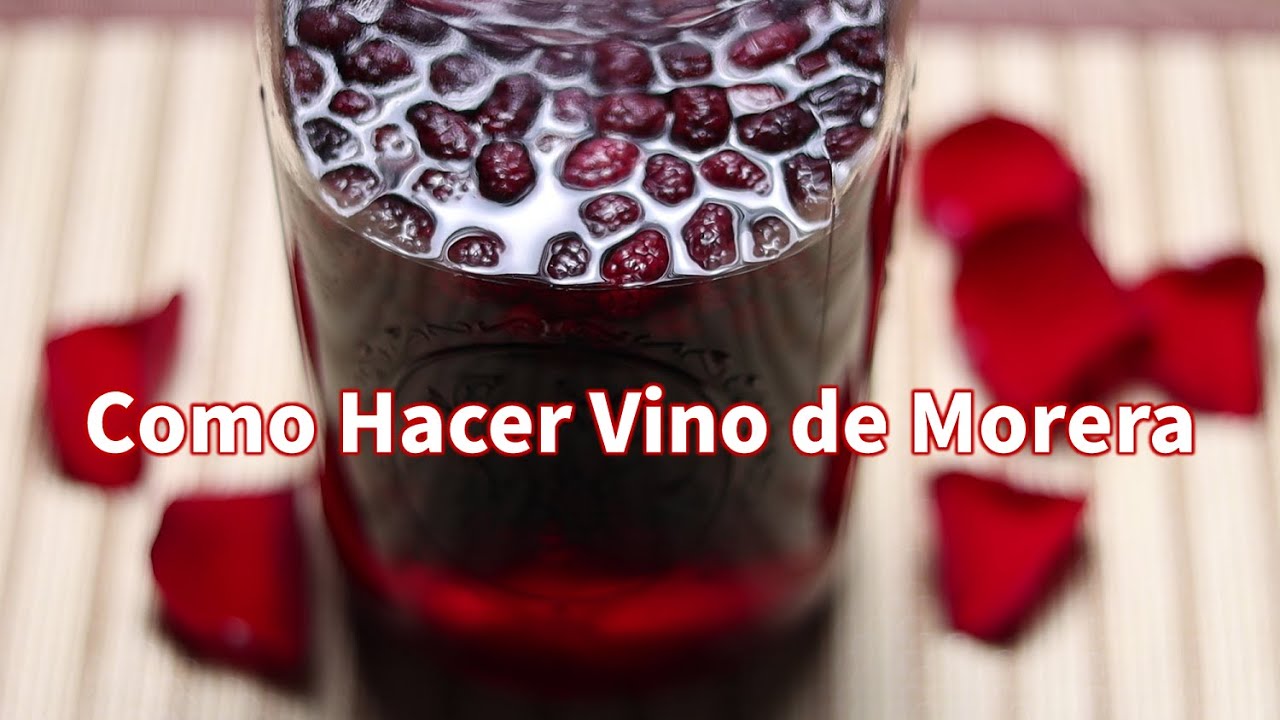 Como Hacer Vino de Morera / Mora/Homemade Mulberry Wine /  桑葚酒