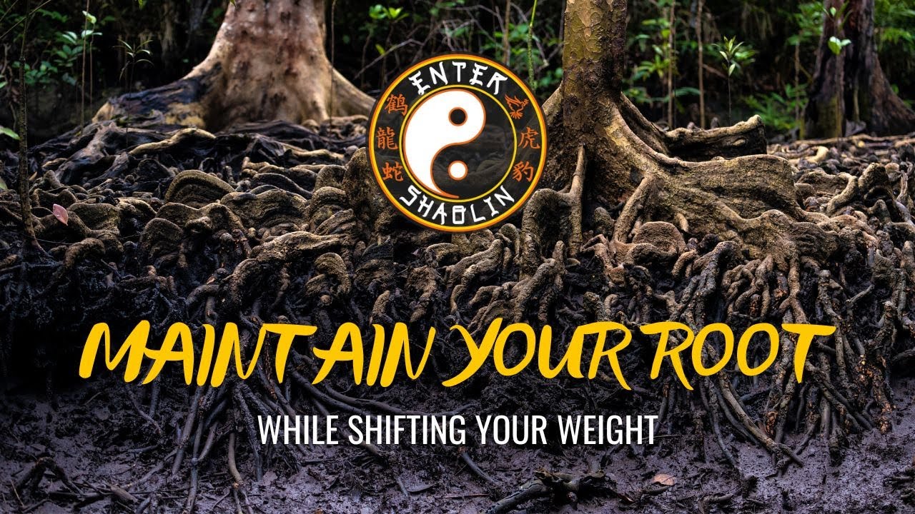 Kung Fu Training: The Key to Maintaining Rooting During Weight Shift