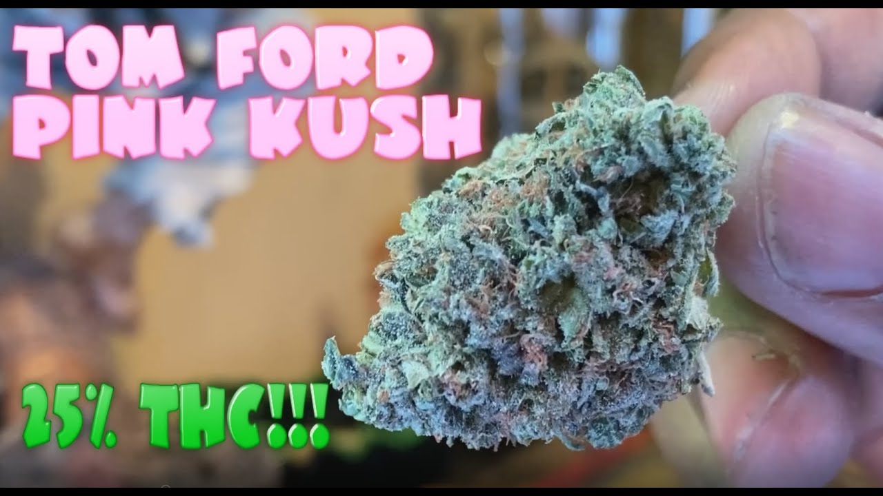 Weed Smoking Session #24 - Ford Pink Kush