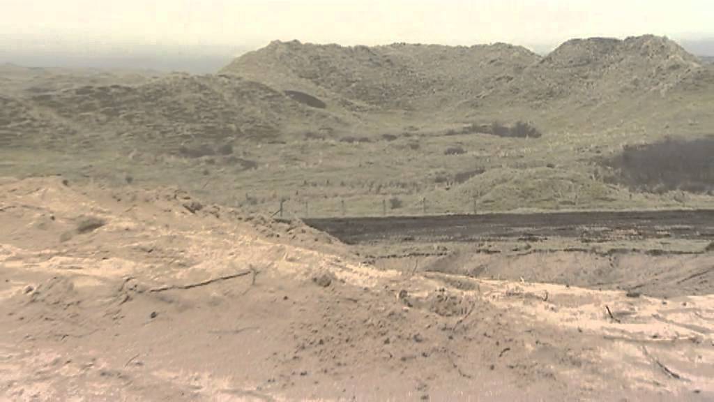 Plantlife's Coastal Dunes Project