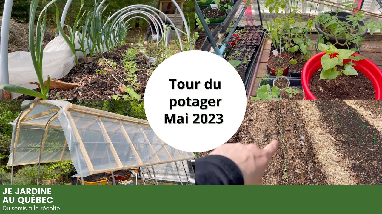 Tour complet du potager : fin mai 2023