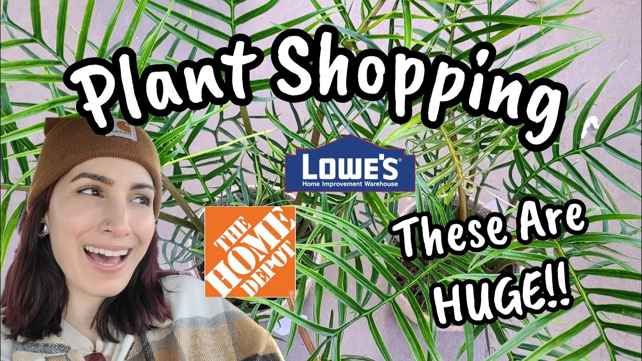 HUGE NEW PLANTS & TONS OF CLEARANCE!! 🧡🌿 Home Depot & Lowe's Plant Shopping I'm Manchester CT ✨️