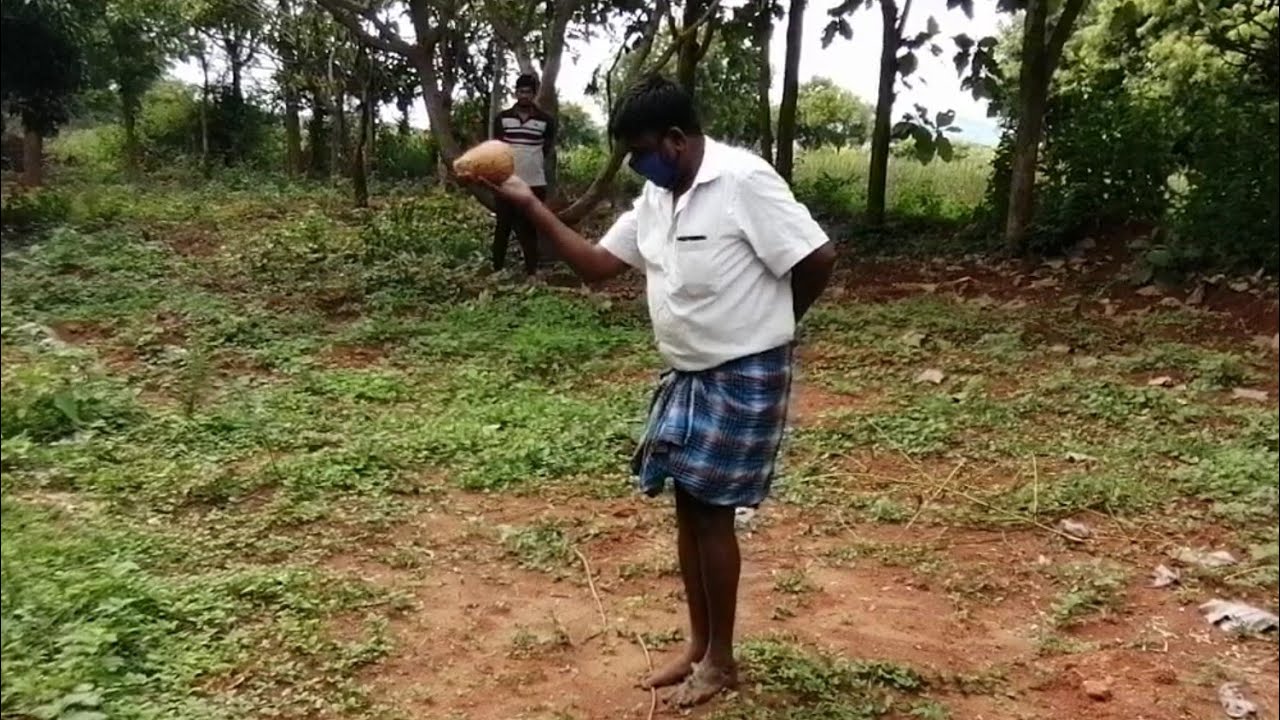 Finding underground water using coconut |Borewell Point 1 | Borewell Drilling |