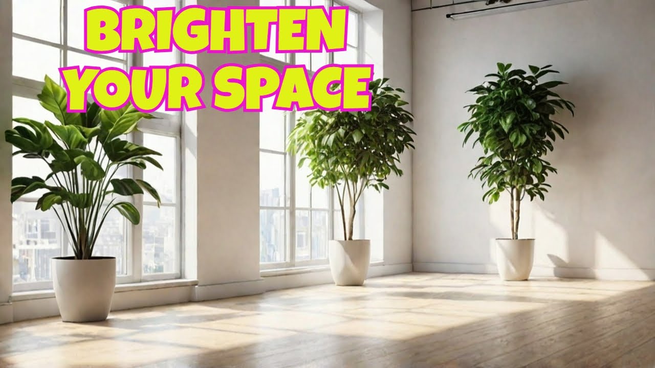 Transform Your Space with MORE NATURAL LIGHT!