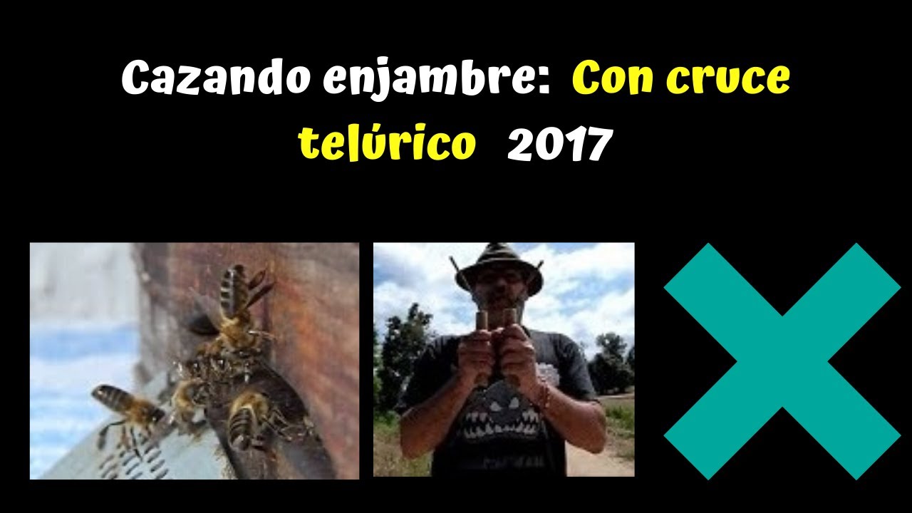 😮Что делать, если дома есть соты ?: ➕ теллурическое пересечение 2017