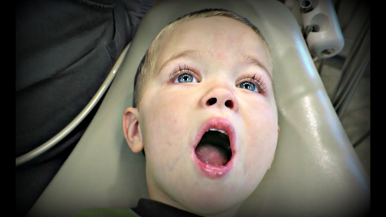 Get AWAY from the BEE!!