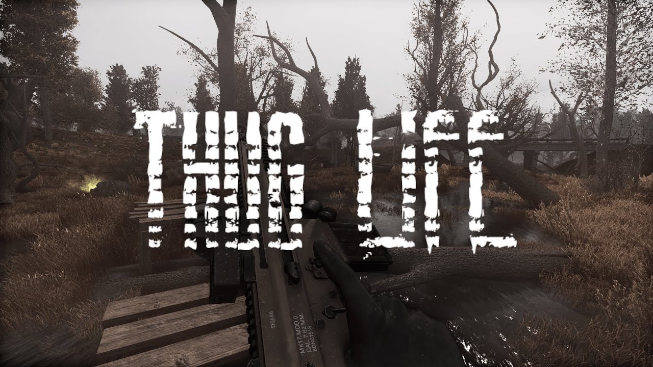 THUG LIFE | Bandit Montage | S.T.A.L.K.E.R HayZee's Anomaly Community Remaster