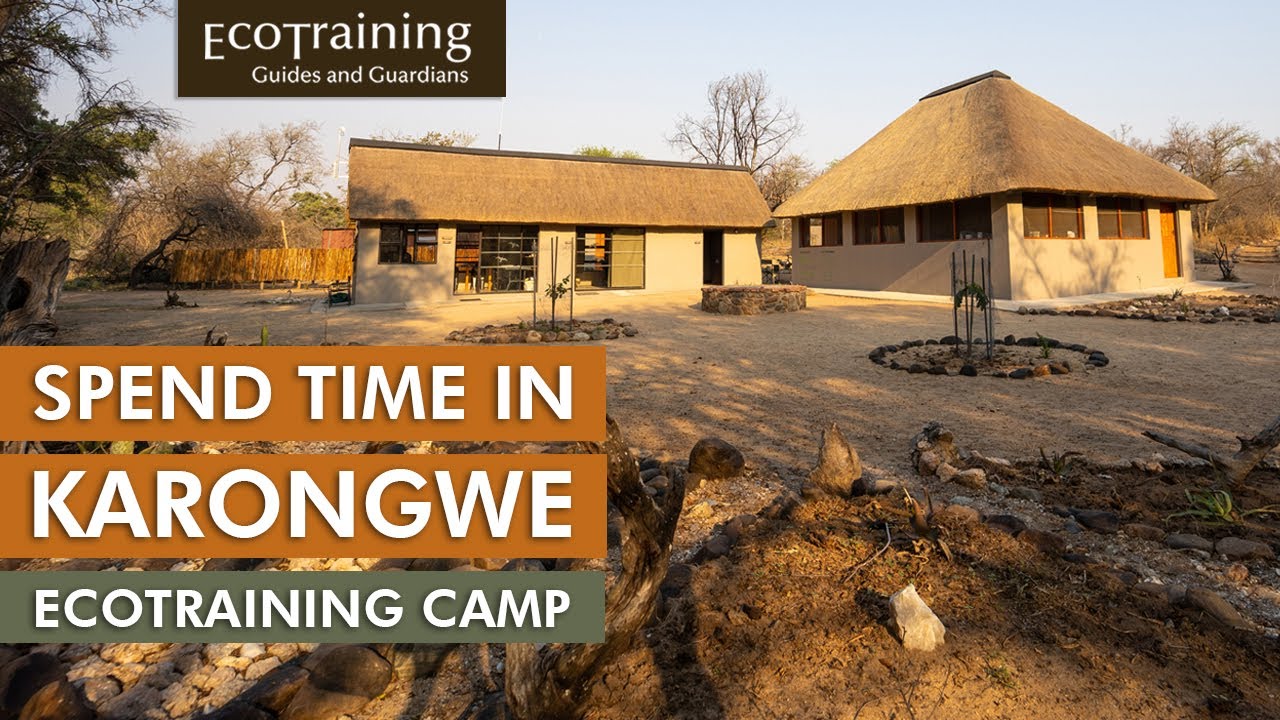 Karongwe Camp l What you can expect