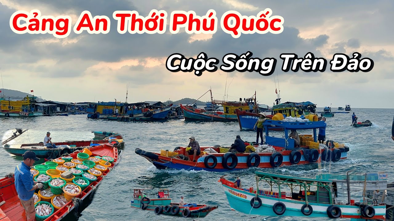 Bà Con Ngư Dân Trúng Cá Lên Mua Bán Thấy Ham Tại Chợ Cá An Thới Phú Quốc 