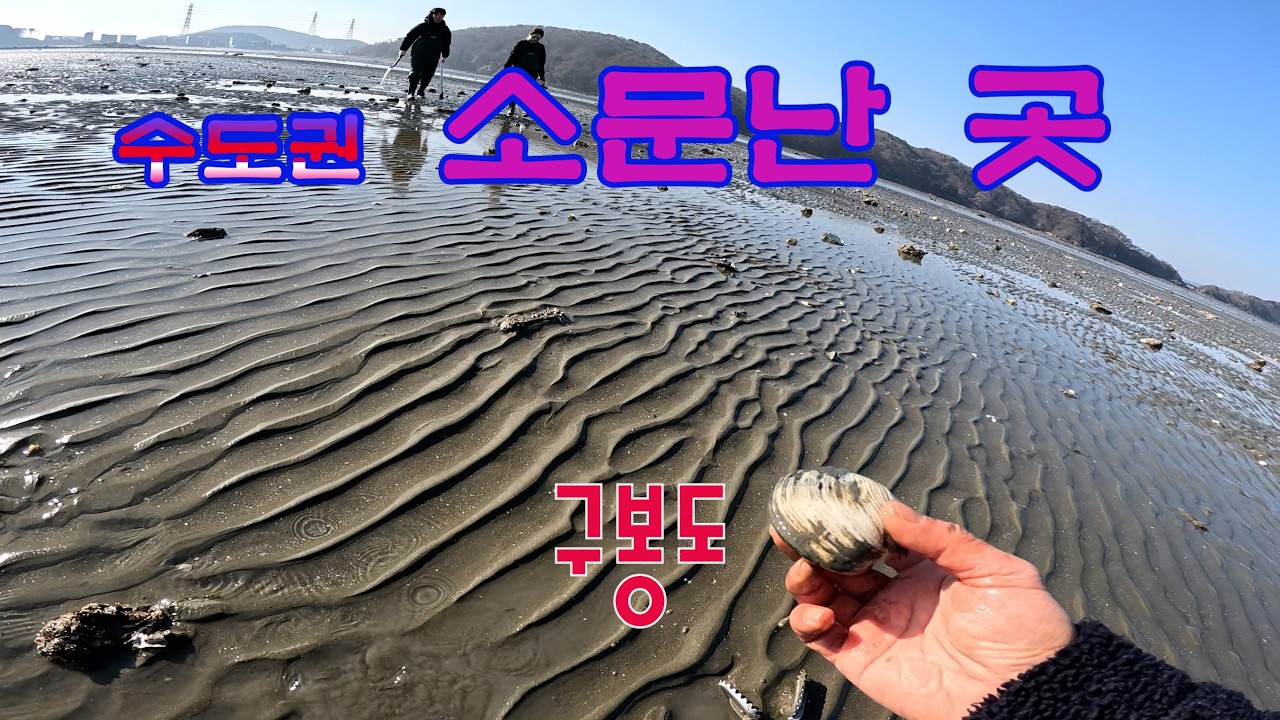 서울에서 가까운 해루질 명소에 다녀왔습니다. (살조개 피조개 개조개)