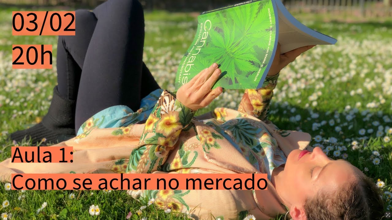 Aula 1