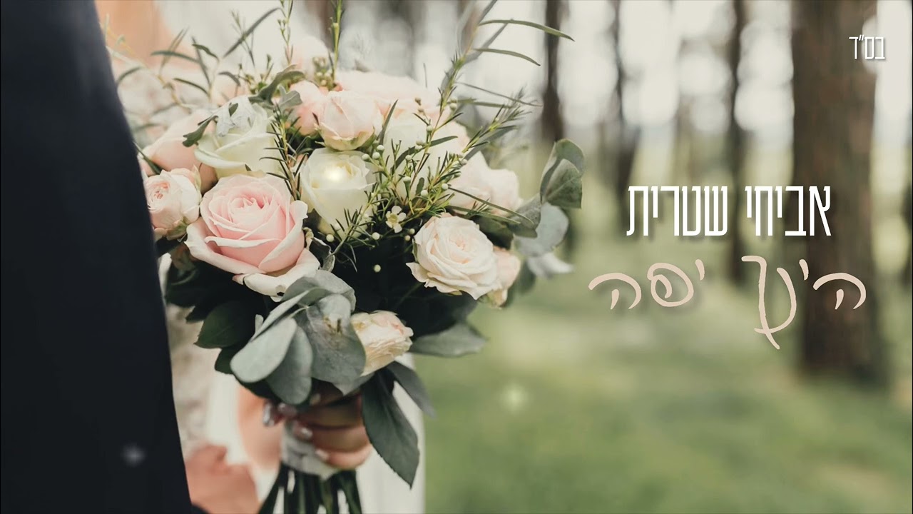 אביחי שטרית - הינך יפה | כניסה לחופה