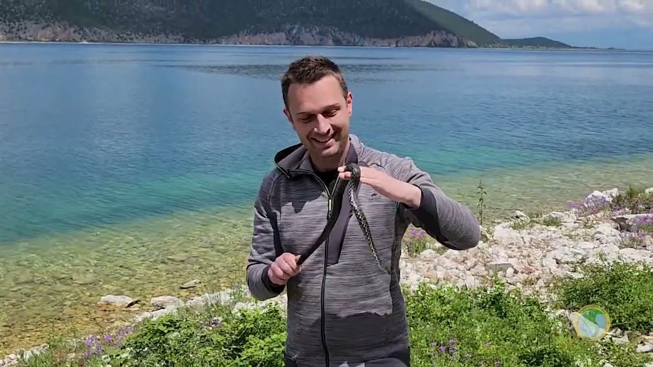 НП Галичица - Репортажа Голем град