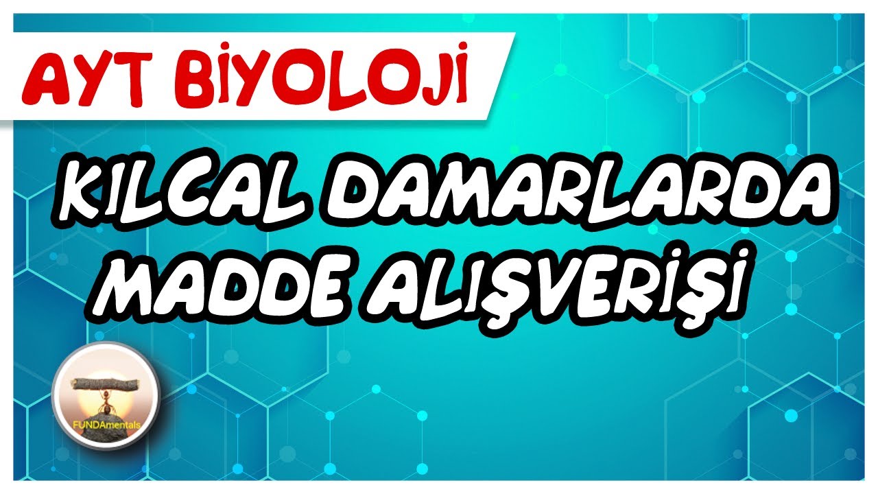 AYT Biyoloji | Kılcal Damarlarda Madde Alışverişi  #sayfa82
