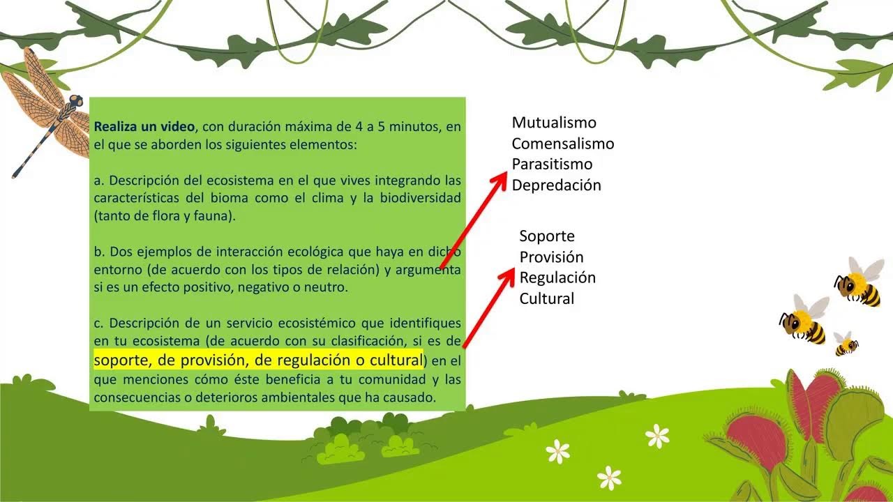 Módulo 15 Semana 2 Primera Sesión