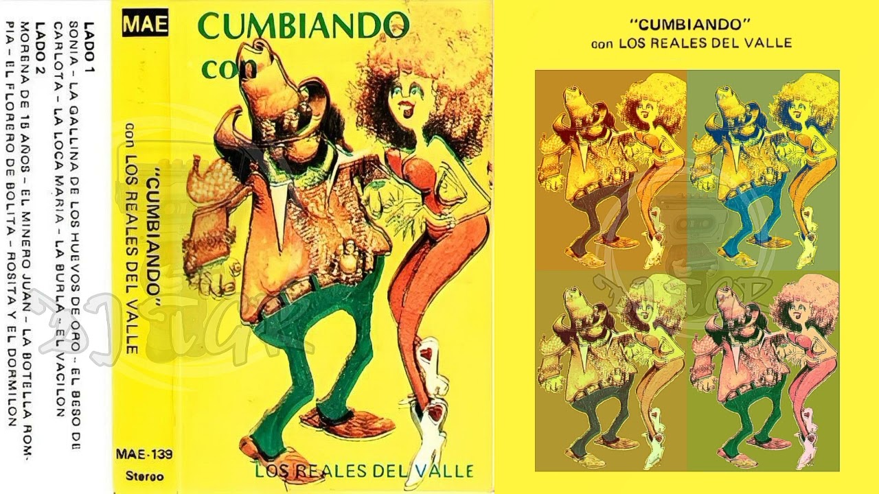 LOS REALES  DEL VALLE - CUMBIANDO CON... [DJTGRCASS]