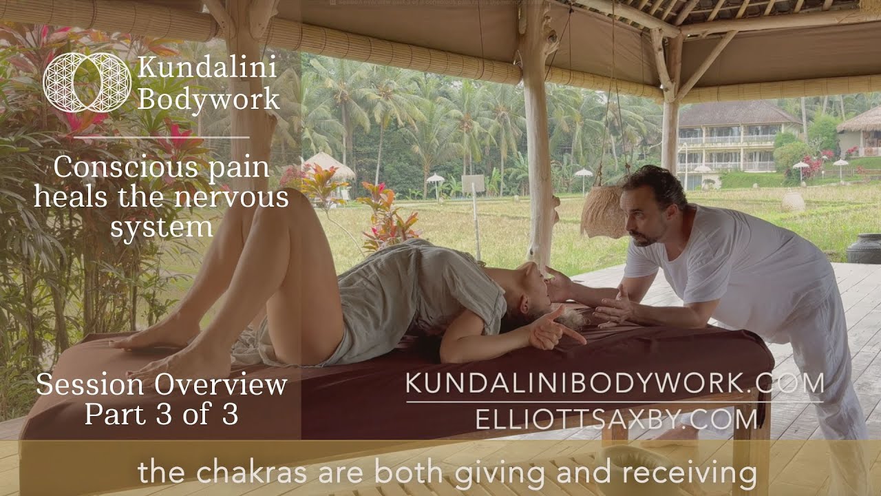 Conscious Pain Heals the Nervous System session overview part 3 of 3