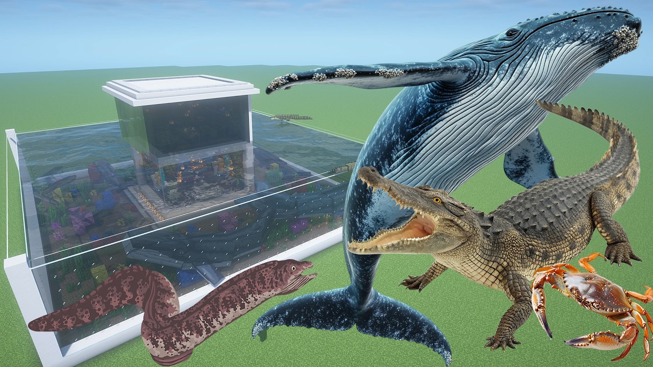 How To Make a Crab, Crocodile, Eel, and Whale Farm in Minecraft PE