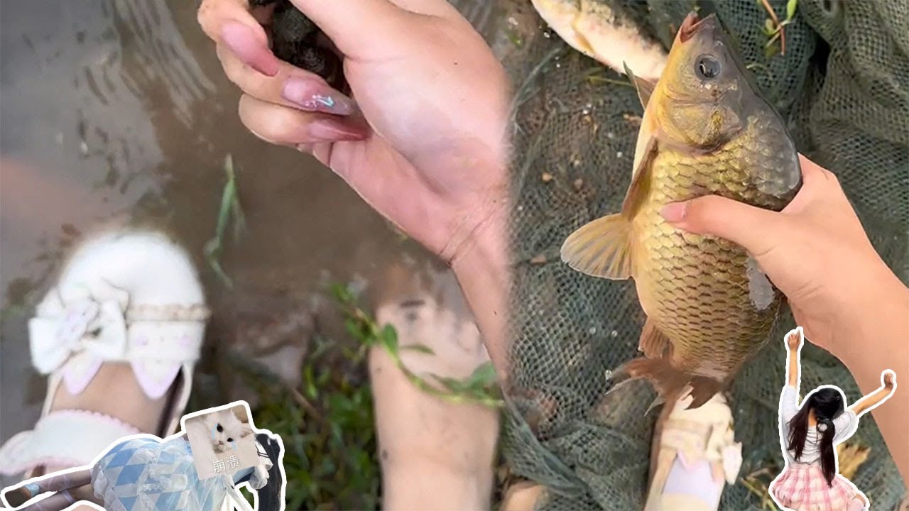 和小布一起寻找新的家园中！来看看今天吃啥 #jk #love #food #dog