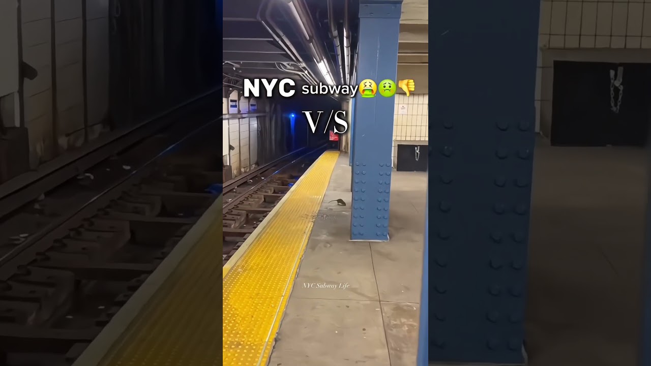 USA Metro 🚇 vs Chinese Metro 🚄 &ndash; Which one wins?  #PublicTransport #CityLife #MetroVibes