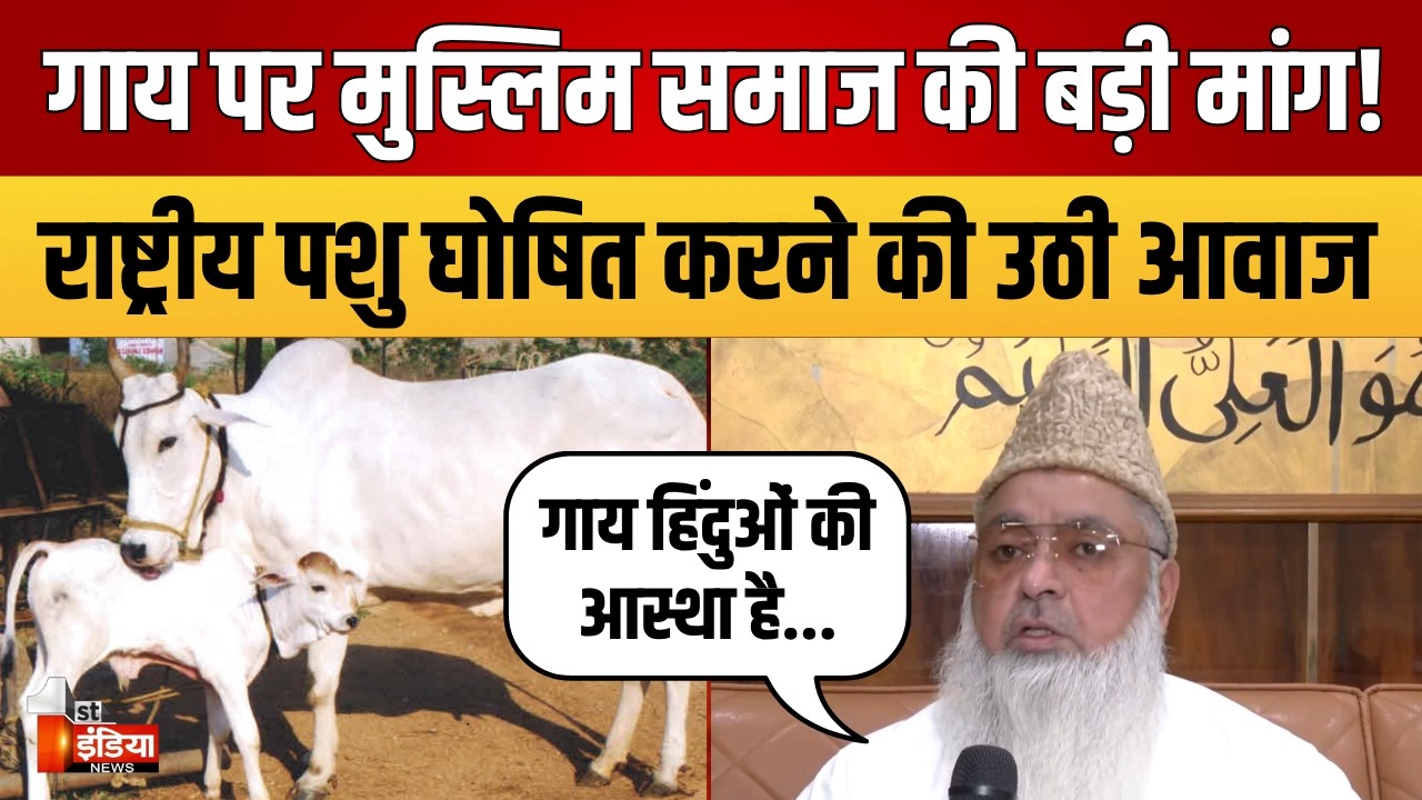 Muslims Boycott Cow Qurbani: गाय का दूध शिफा, घी दवा, मीट बीमारी, Umer Ilyasi का बड़ा संदेश