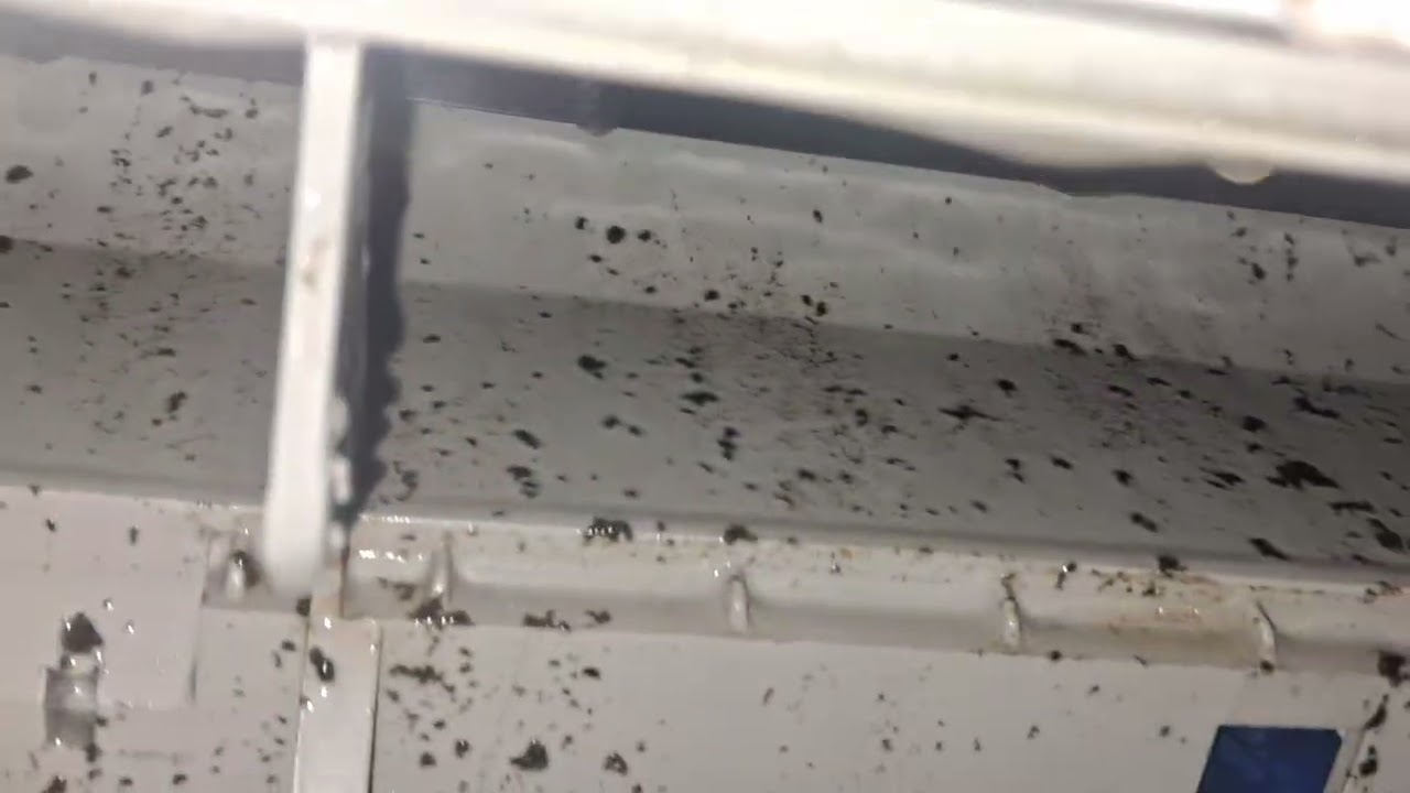 Por esta razón  debes de limpiar tu aire acondicionado cada 3 o 4 meses 