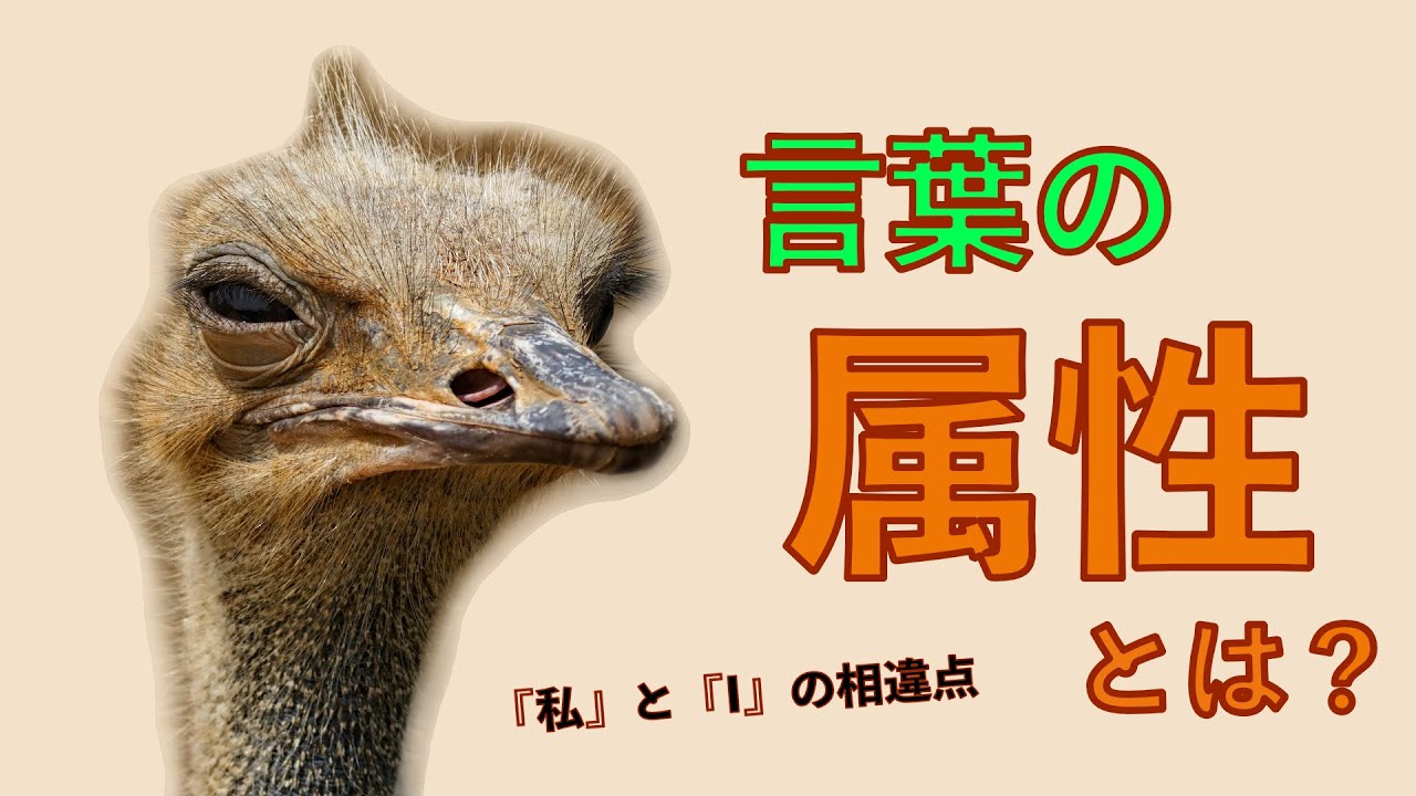 【言語学】英語の『I』と日本語の『私』の相違点について【言葉の属性とは？】