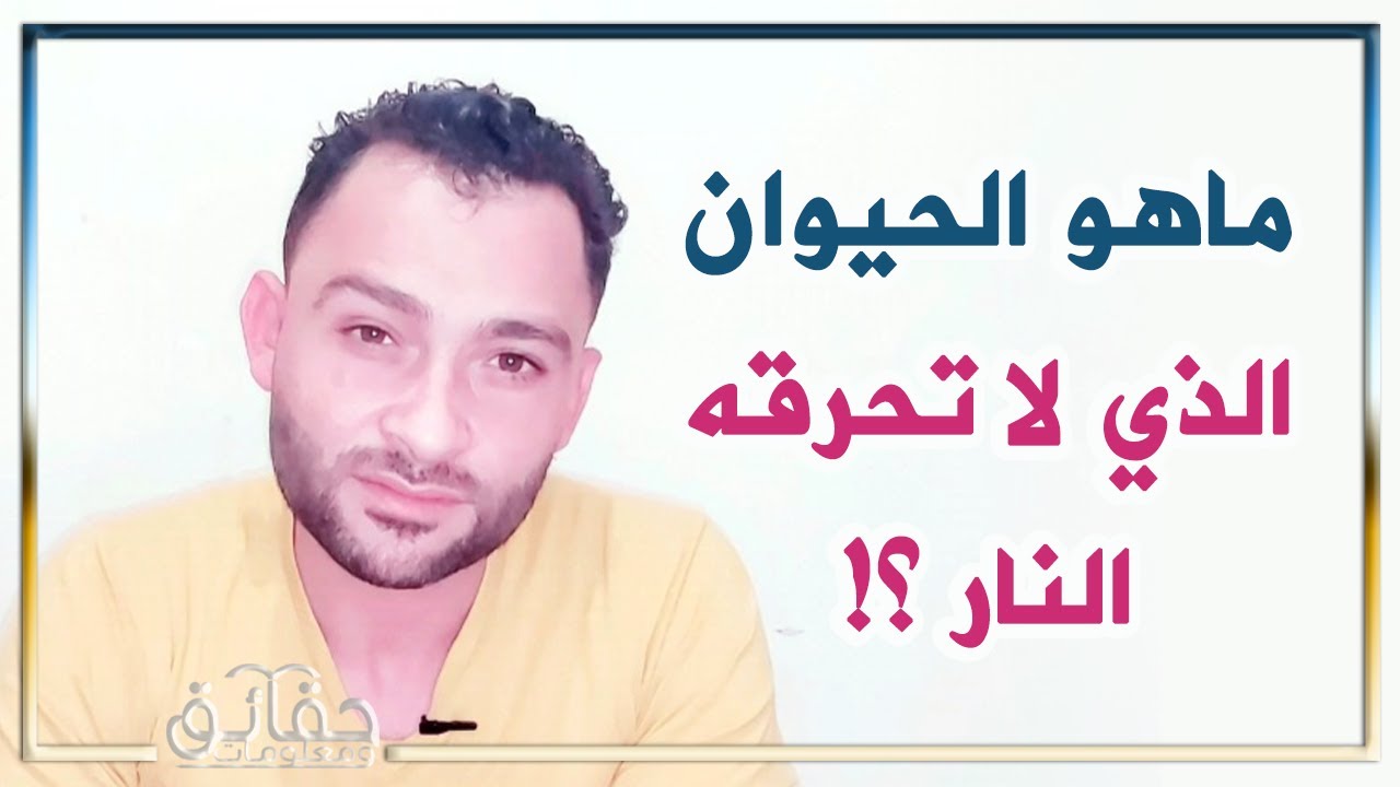 ماهو الحيوان الذي لا تحرقه النار؟! 🤔
