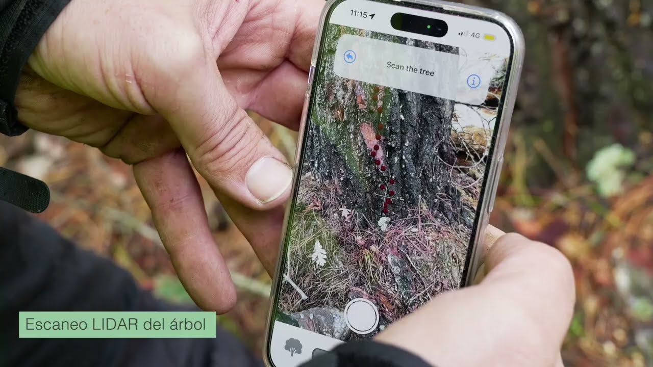 Sintetic, plataforma digital para la gestión integral de datos de la cadena de valor forestal