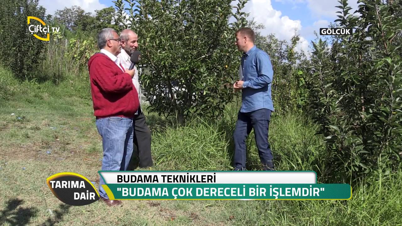 Tarıma Dair-Meyve Ağaçlarında Yaz Budaması