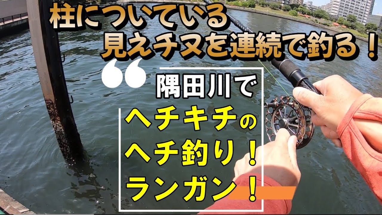 黒鯛工房THEヘチセレクションXT V-SPECで見えチヌを釣る！「ヘチ釣り」