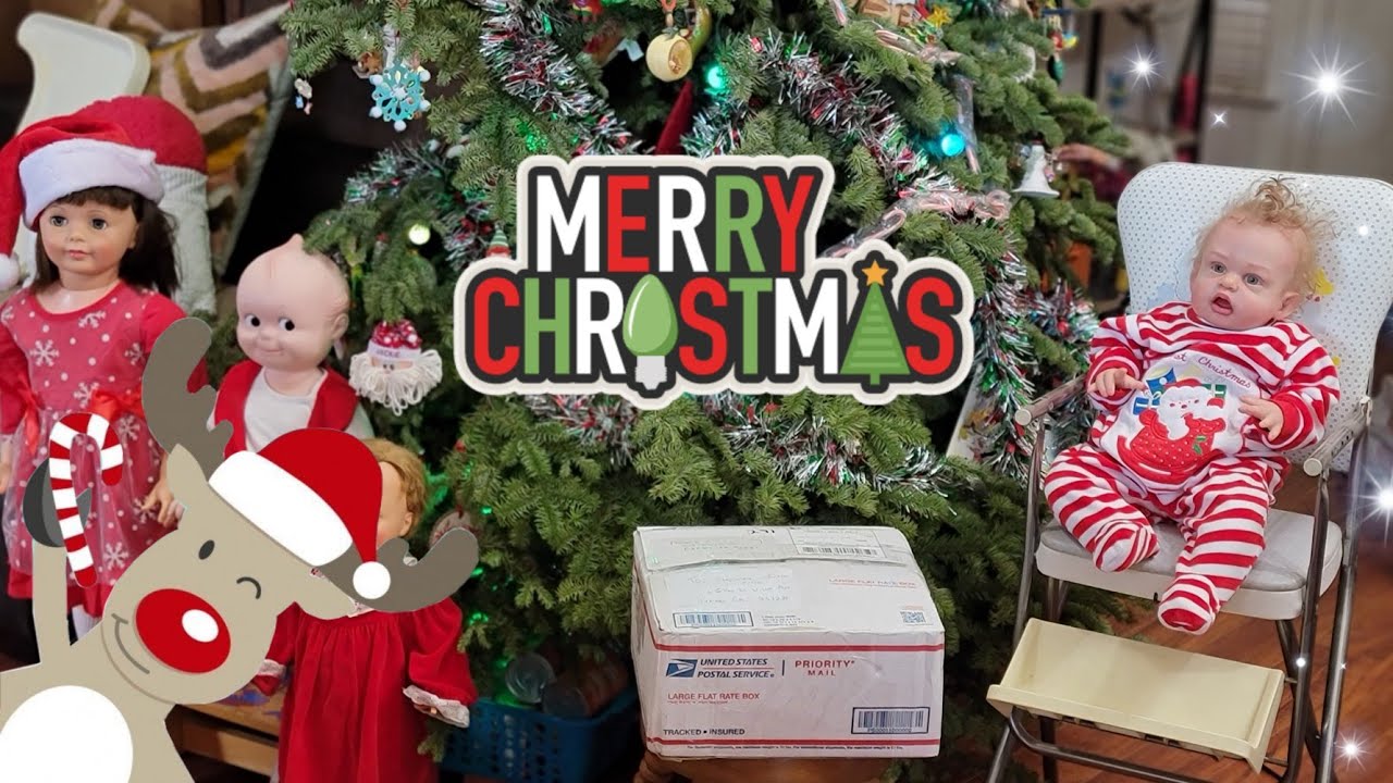 Facts About the Cutest Reborn on Youtube| Changing Reborn Baby Dolls| Christmas Gift Opening