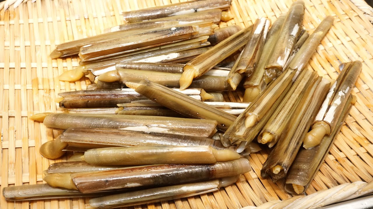 マテ貝の砂抜き方法と酢味噌和えの作り方（ぬた和え）