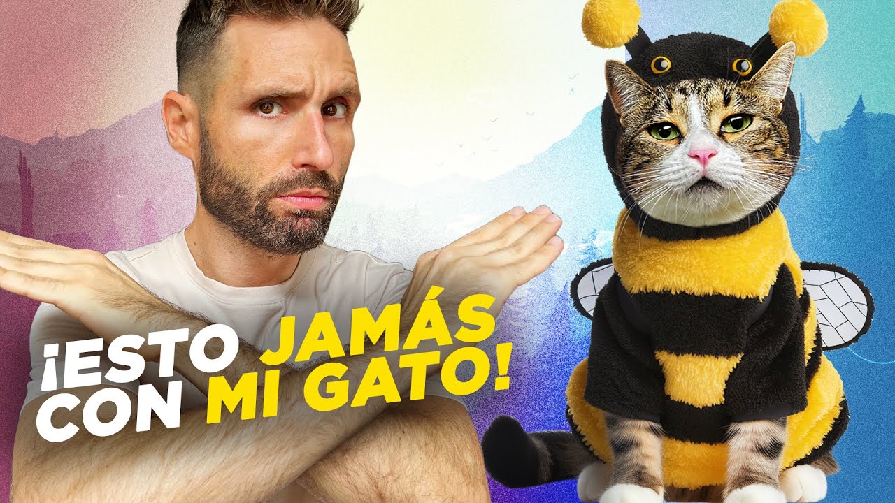 7 COSAS que NO VOY A HACER CON MI GATO ALCACHOFO 🙅‍♂️🚫🐯 (Y por qué)