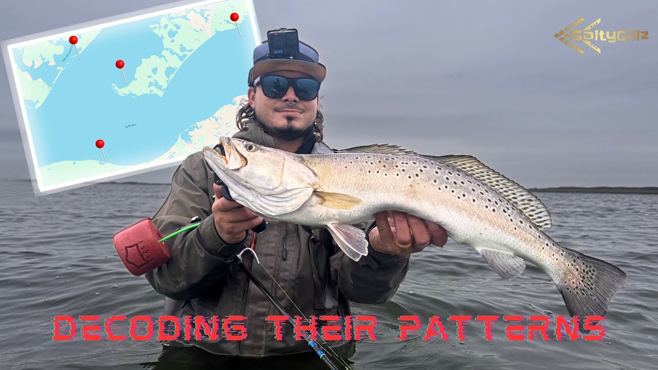 Winter Trout: Decoding Their Secret Foraging Patterns in Corpus Christi