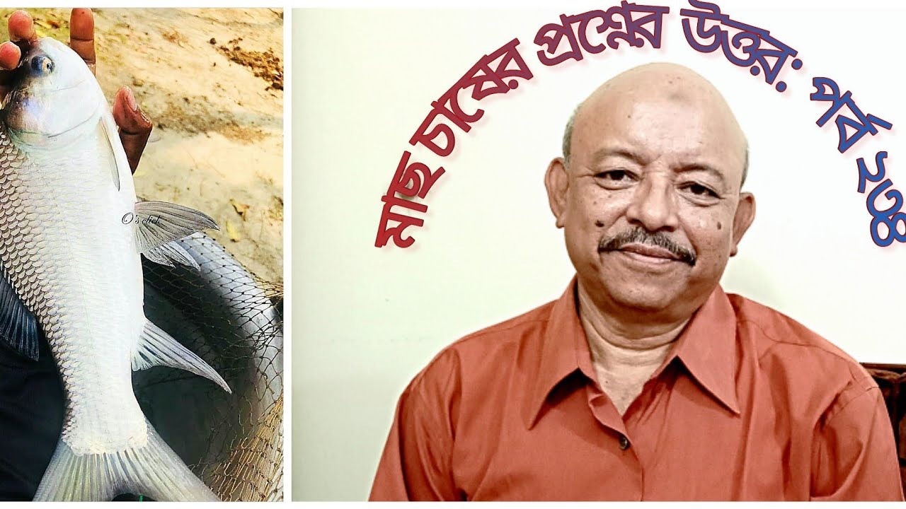 প্রশ্নোত্তর পর্ব ২৩৪ । কাতলার একক চাষ, মাছের খাদ্য বানানো, মাছের খাদ্য বানানো