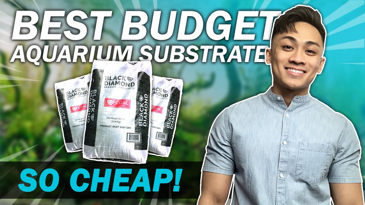 7 REASONS TO GET BLACK DIAMOND BLASTING SAND | Best Budget/Cheap Aquarium Substrate for Fish Tanks?