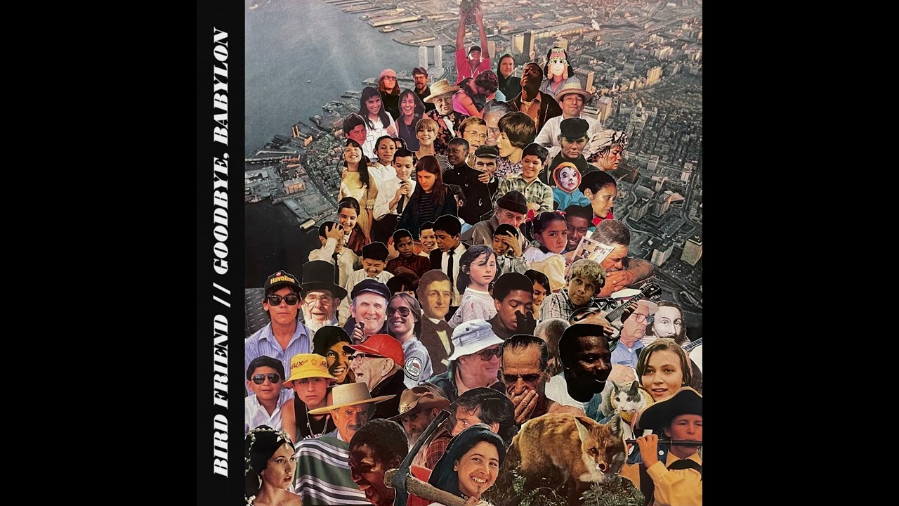 Bird Friend - Through The WIndows